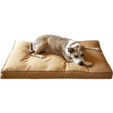 BullyTuf Dog Bed Chew Proof lifestyle image 3