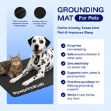 EarthNest Grounding Mat lifestyle 3