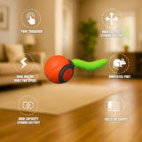Furtail | Cat Interactive Toy with Automatic Play Mode for Exercise