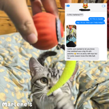 Furtail | Cat Interactive Toy with Automatic Play Mode for Exercise