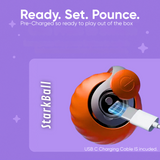 Furtail | Cat Interactive Toy with Automatic Play Mode for Exercise