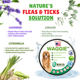 Furtail | Dog and Cat Flea and Tick Collar Natural Water-Resistant Adjustable