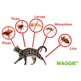 Furtail | Dog and Cat Flea and Tick Collar Natural Water-Resistant Adjustable