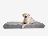 Nestara | Dog Crate Bed Orthopedic Memory Foam Machine Washable, 5 Sizes
