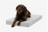 Nestara | Dog Crate Bed Orthopedic Memory Foam Machine Washable, 5 Sizes