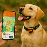 Velmar Dog GPS Tracker lifestyle 3