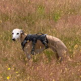 Velkora | Dog Escape-Proof Harness for Whippets and Greyhounds Reflective