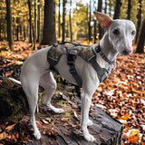 Velkora | Dog Escape-Proof Harness for Whippets and Greyhounds Reflective