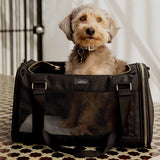 Coatrix Dog Carrier Bag lifestyle 3