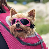 Nestwick Dog Goggles lifestyle image 2