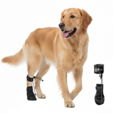 Brinlow Dog Knuckling Brace lifestyle 3