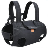 Pawtastic Support Harness lifestyle image 2