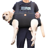 Pawtastic Support Harness lifestyle image 3