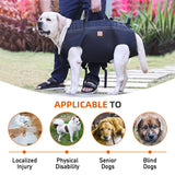 Pawtastic Support Harness | Large Dog Full-Body Carry Harness Multi-Handle