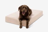 Pawtastic | Dog Bed Orthopedic 7-Inch CertiPUR-US Foam Machine Washable