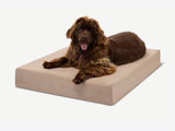 Pawtastic | Dog Bed Orthopedic 7-Inch CertiPUR-US Foam Machine Washable