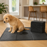 Pawtastic Puppy Training Pads lifestyle 1