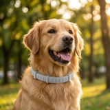 Pawshield | Dog Pest Control Collar Adjustable Fit for All Breeds