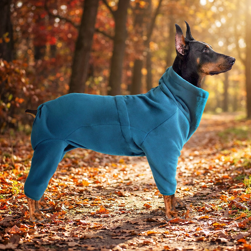 Dog Apparel & Safety Gear
