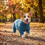 Furtail | Dog Jacket Water-Resistant with Pocket Plaid Warm, All Sizes