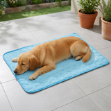 Treldon Dog Cat Cooling Mat lifestyle 1