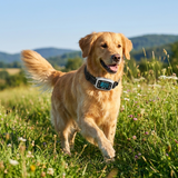 Furtail Dog GPS Fence lifestyle 1