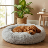 Muzzlow Dog Bed lifestyle 1