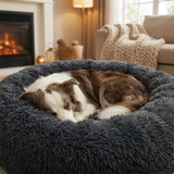 Muzzlow Dog Bed lifestyle 2