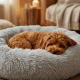 Brindmar Dog Bed lifestyle 2