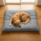 Canine Cloud Nine Dog Mat lifestyle 1