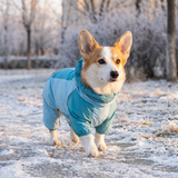 Furtail Dog Jumpsuit lifestyle 2