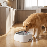 HydroPaw Dog Water Bowl lifestyle 1