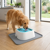 HydroPaw Dog Water Bowl lifestyle 2
