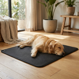 EarthNest Grounding Mat lifestyle 1