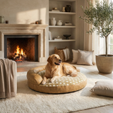 Snuggly Round Dog Bed lifestyle 2
