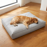 BullyTuf Dog Bed Chew Proof lifestyle image 1