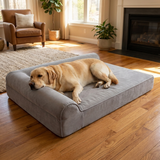 Hawkmar Orthopedic Dog Bed lifestyle image 1