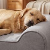 Hawkmar Orthopedic Dog Bed lifestyle image 2
