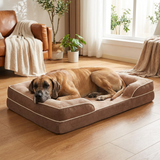 Pawston Dog Orthopedic Bed lifestyle image 1