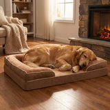 Pawston Dog Orthopedic Bed lifestyle image 2