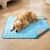 Pawden Dog Cooling Mat lifestyle image 1