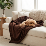 Pawtide Dog Blanket lifestyle image 1
