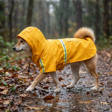 Dog Raincoat lifestyle 1