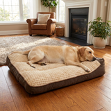 Velkora Dog Bed Orthopedic lifestyle image 1