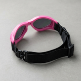 Nestwick Dog Goggles lifestyle image 3