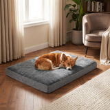 Pawtrel Dog Bed Orthopedic lifestyle image 1