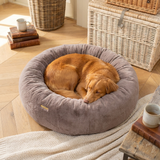 Furtail Dog Donut Bed lifestyle image 1